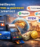 Les meilleures plateformes de paiement au Cameroun
